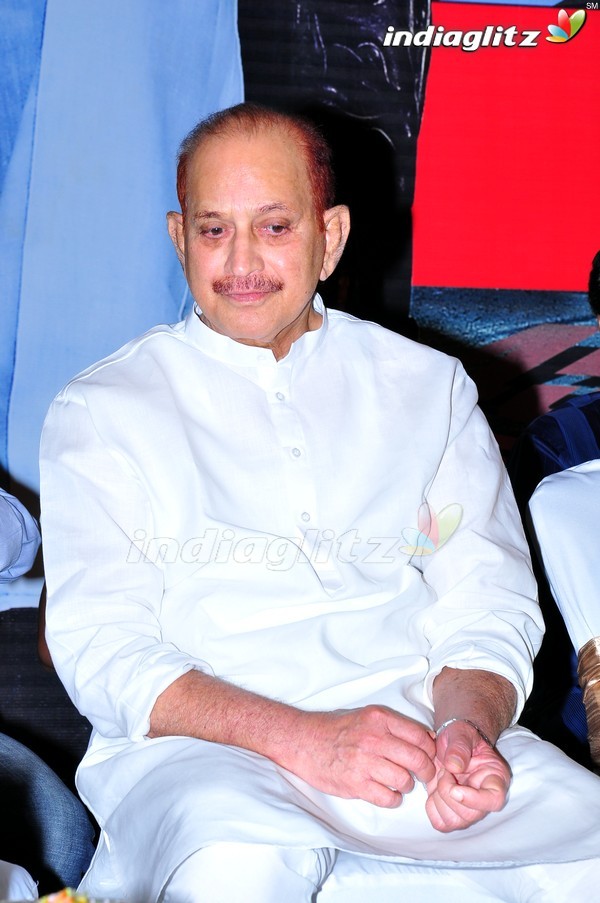 'Dookudu' Success Meet - Set 2