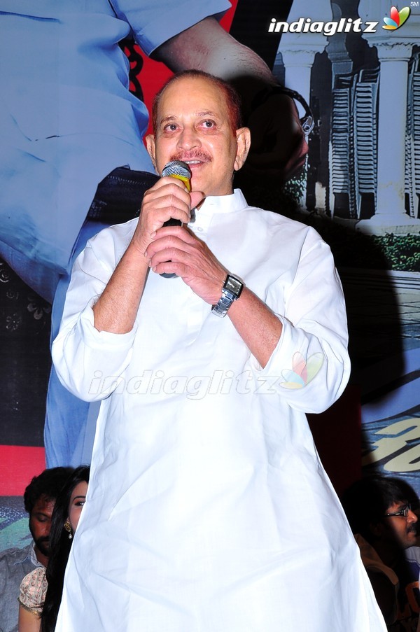 'Dookudu' Success Meet - Set 2