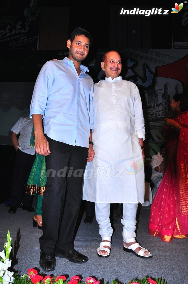 'Dookudu' Success Meet - Set 2