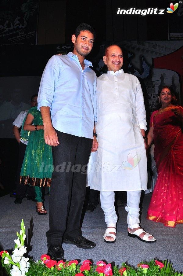 'Dookudu' Success Meet - Set 2