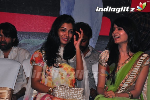 'Dookudu' Success Meet - Set 2