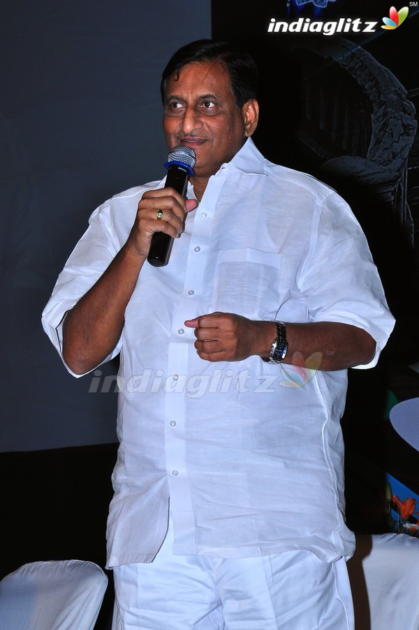 'Dookudu' Success Meet - Set 2