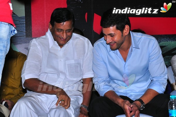 'Dookudu' Success Meet - Set 2