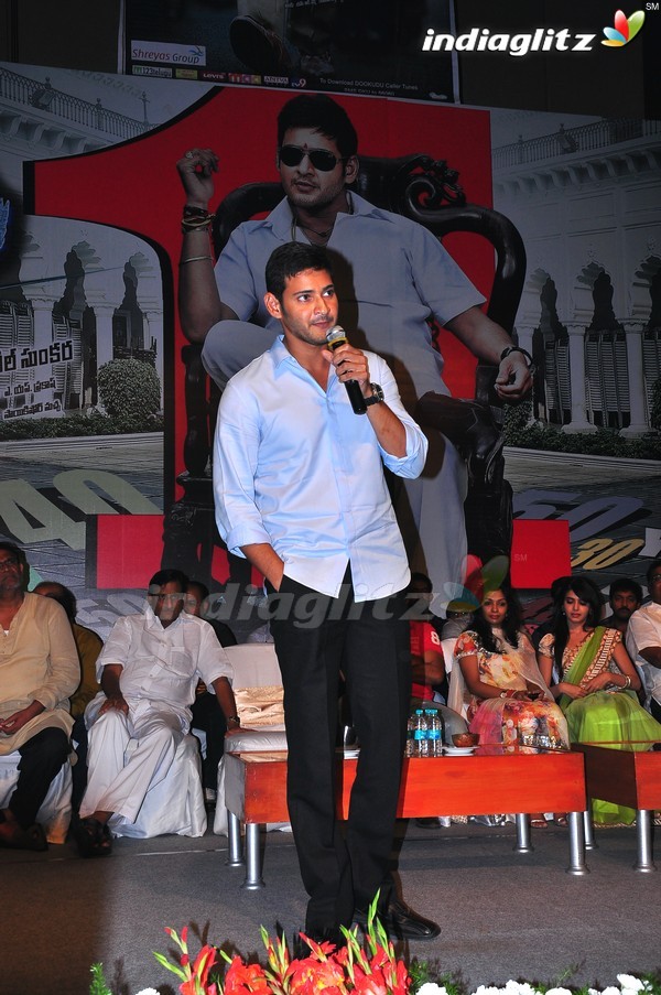 'Dookudu' Success Meet - Set 2