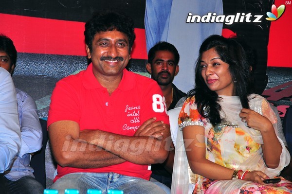 'Dookudu' Success Meet - Set 2