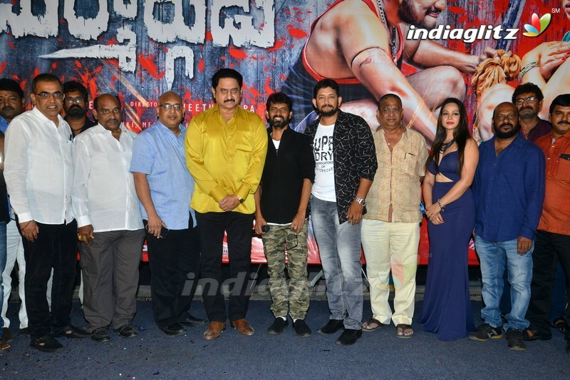 'Durmargudu' Audio Launch