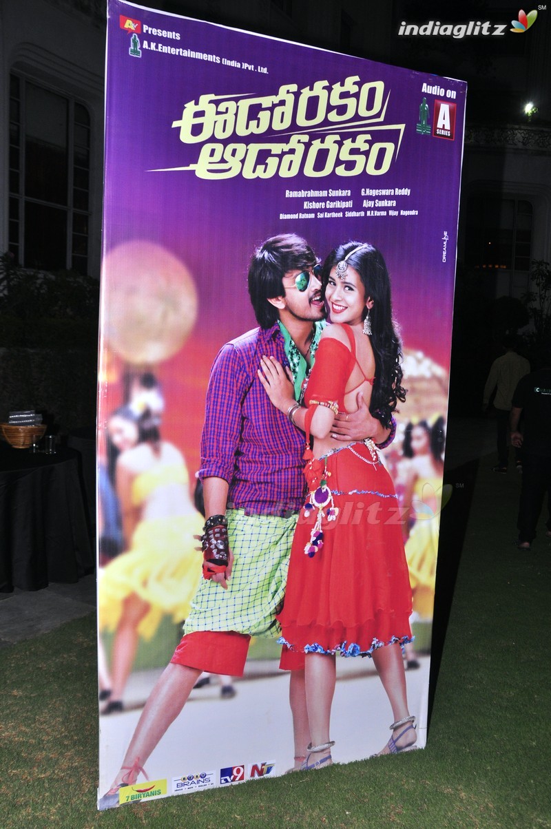 'Eedo Rakam Aado Rakam' Audio Launch (Set-1)