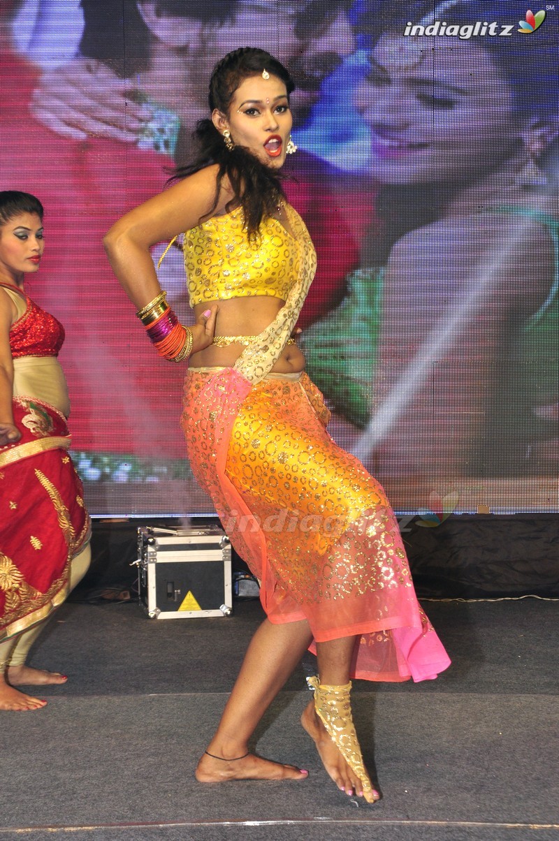 'Eedo Rakam Aado Rakam' Audio Launch (Set-1)