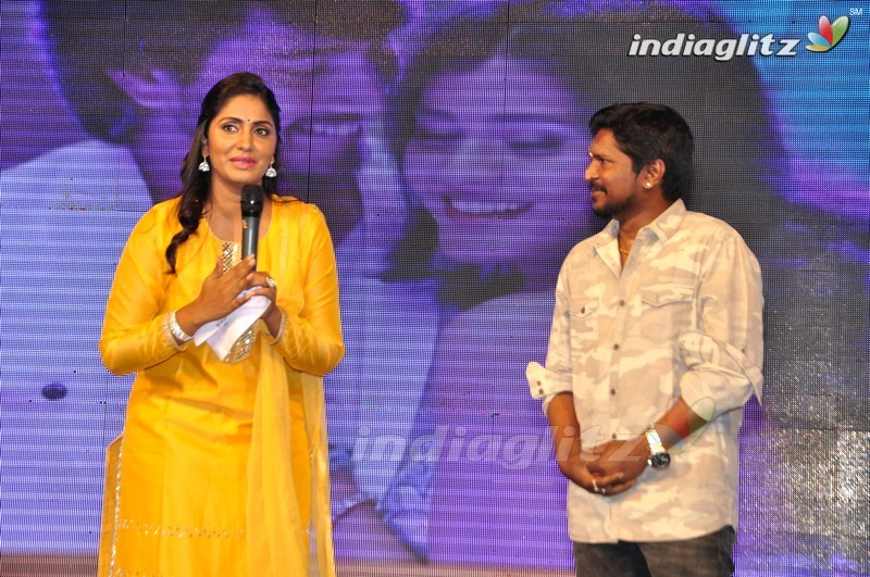 'Eedo Rakam Aado Rakam' Audio Launch (Set-1)