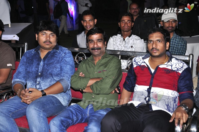 'Eedo Rakam Aado Rakam' Audio Launch (Set-1)