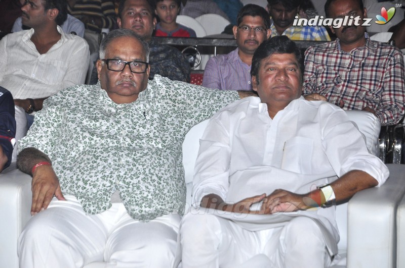 'Eedo Rakam Aado Rakam' Audio Launch (Set-1)