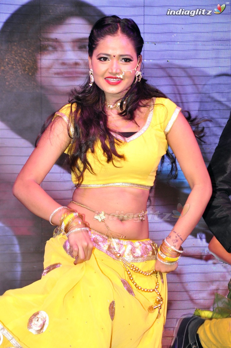 'Eedo Rakam Aado Rakam' Audio Launch (Set-2)