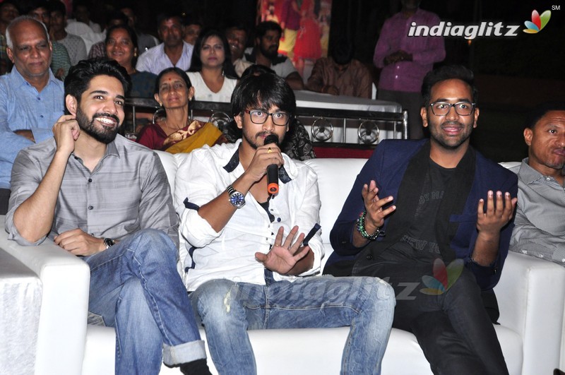 'Eedo Rakam Aado Rakam' Audio Launch (Set-2)