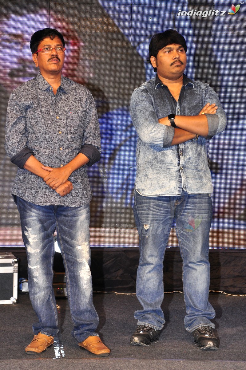 'Eedo Rakam Aado Rakam' Audio Launch (Set-2)