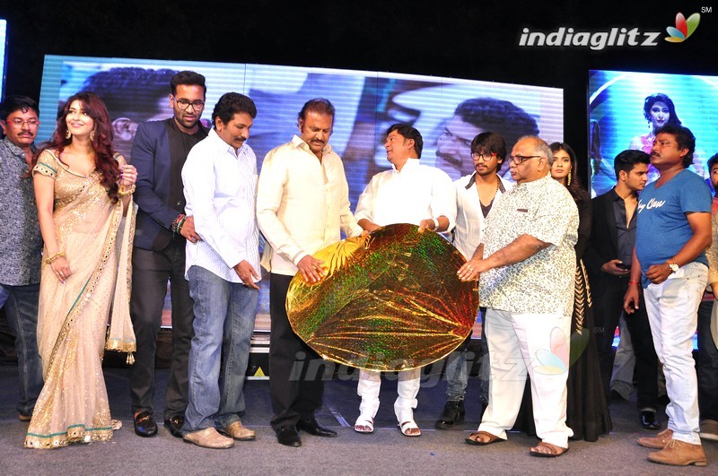 'Eedo Rakam Aado Rakam' Audio Launch (Set-2)