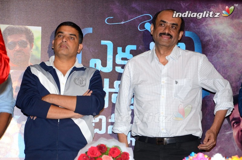 'Ekkadiki Pothavu Chinnavada' Success Meet