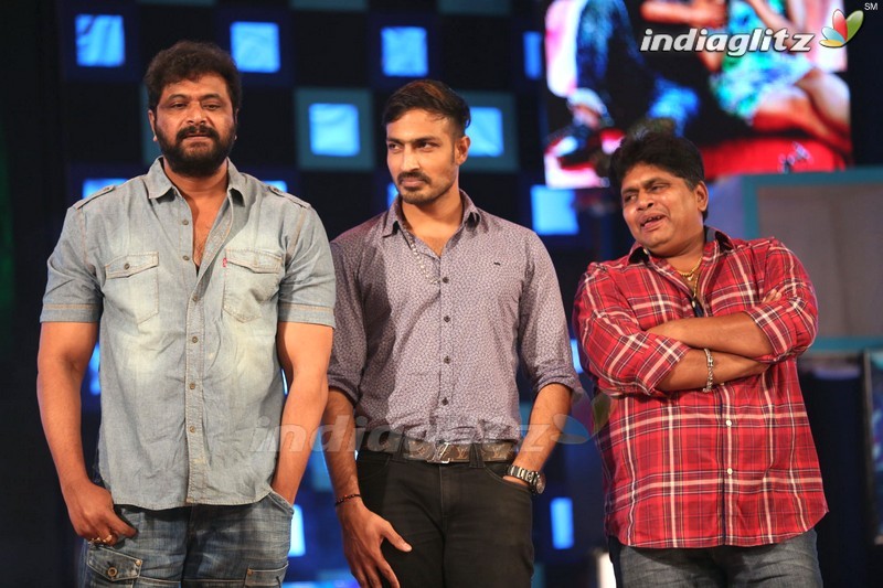 'Express Raja' Audio Launch (Set 2)