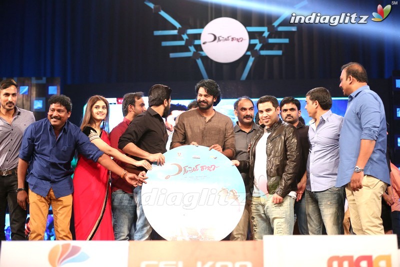 'Express Raja' Audio Launch (Set 2)