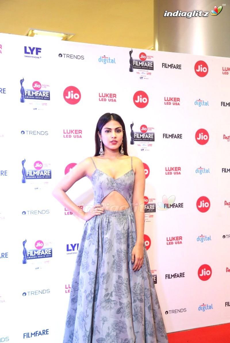 Celebs @ 64th Filmfare Awards South 2017 (Set-2)