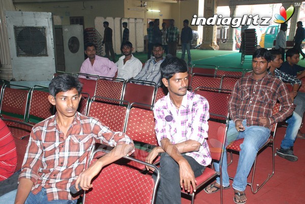 Pawan Fans Celebrates 'Gabbar Singh' 100 Days