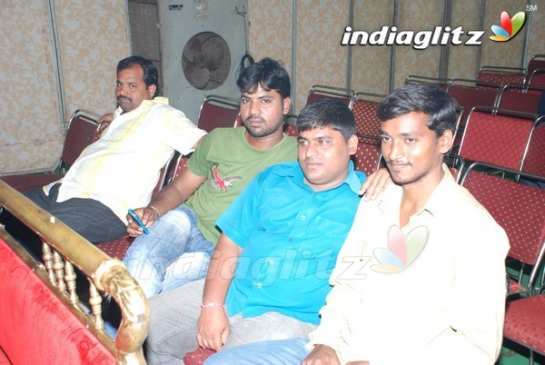 Pawan Fans Celebrates 'Gabbar Singh' 100 Days