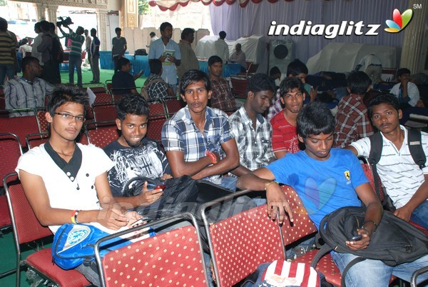 Pawan Fans Celebrates 'Gabbar Singh' 100 Days