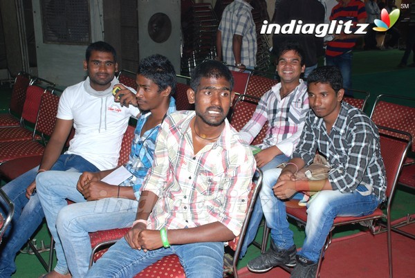 Pawan Fans Celebrates 'Gabbar Singh' 100 Days