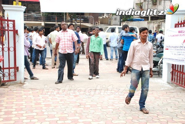 Pawan Fans Celebrates 'Gabbar Singh' 100 Days