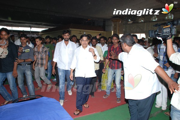 Pawan Fans Celebrates 'Gabbar Singh' 100 Days