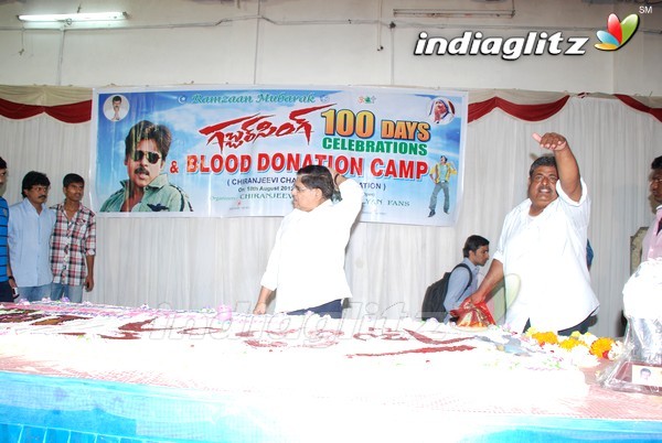 Pawan Fans Celebrates 'Gabbar Singh' 100 Days