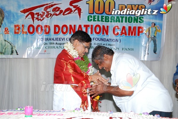 Pawan Fans Celebrates 'Gabbar Singh' 100 Days