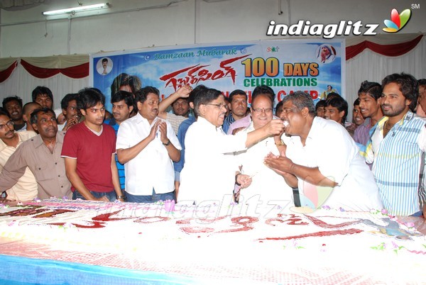 Pawan Fans Celebrates 'Gabbar Singh' 100 Days