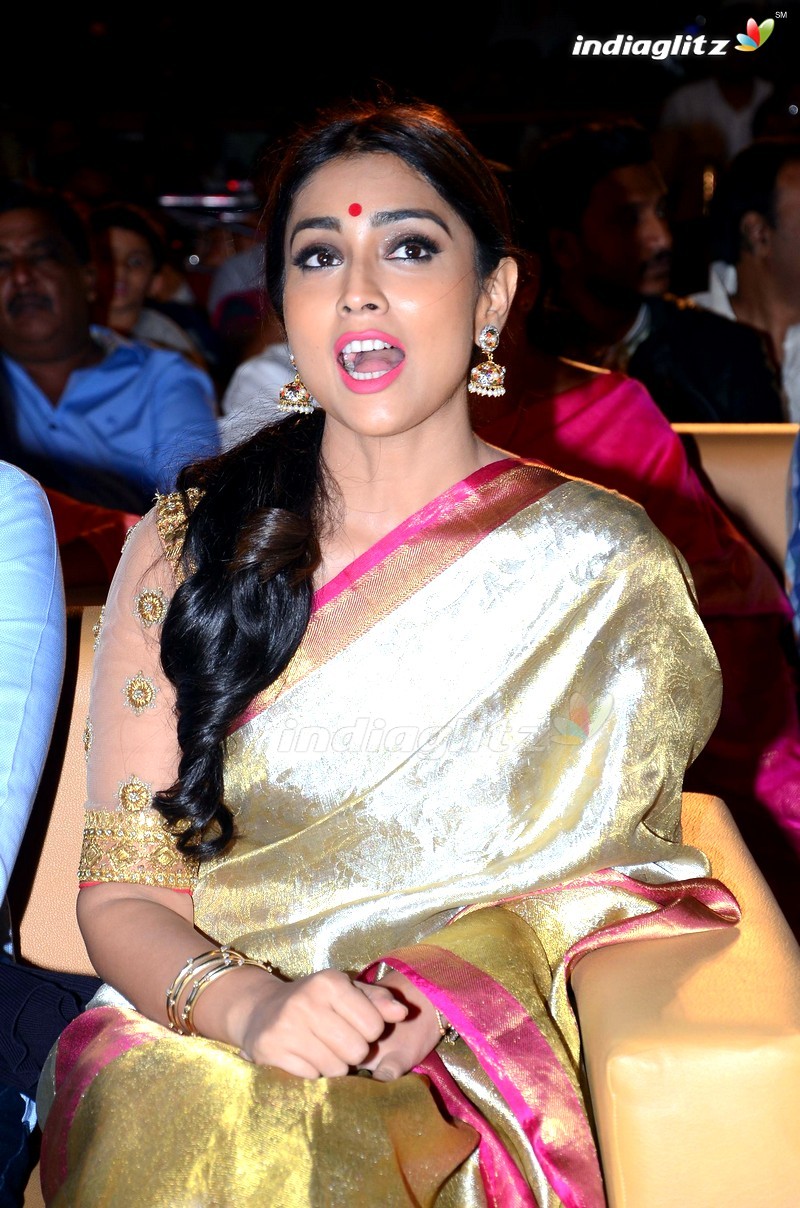 'Gauthamiputra Satakarni' Audio Launch (Set 1)