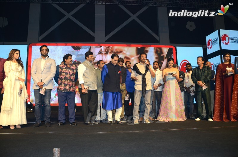 'Gayatri' Pre - Release Function (Set-2)