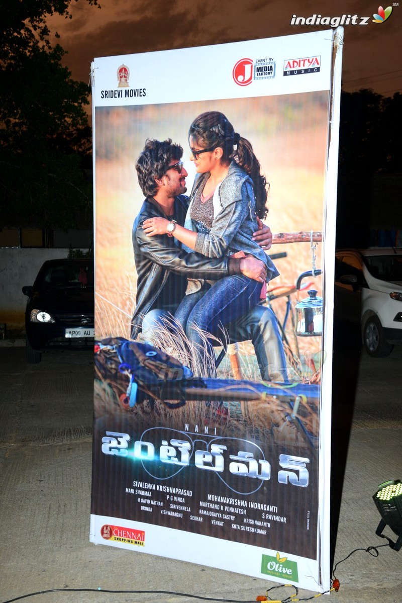 'Gentleman' Audio Launch