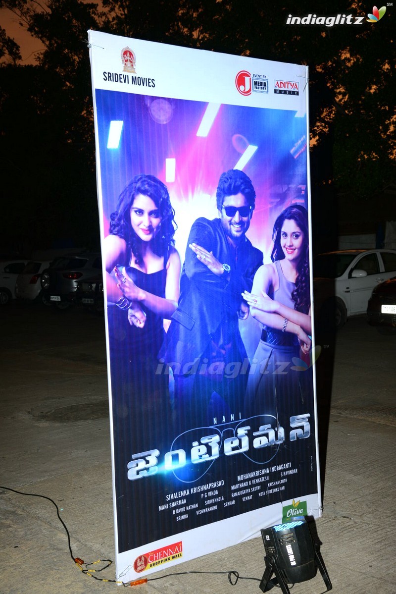 'Gentleman' Audio Launch