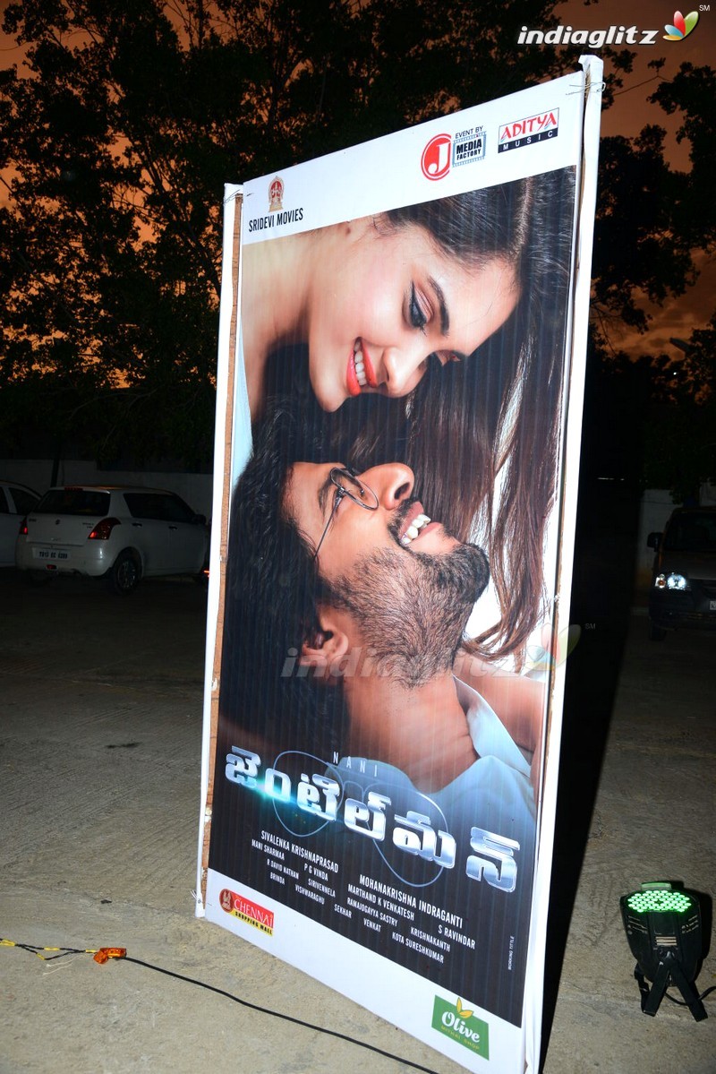 'Gentleman' Audio Launch