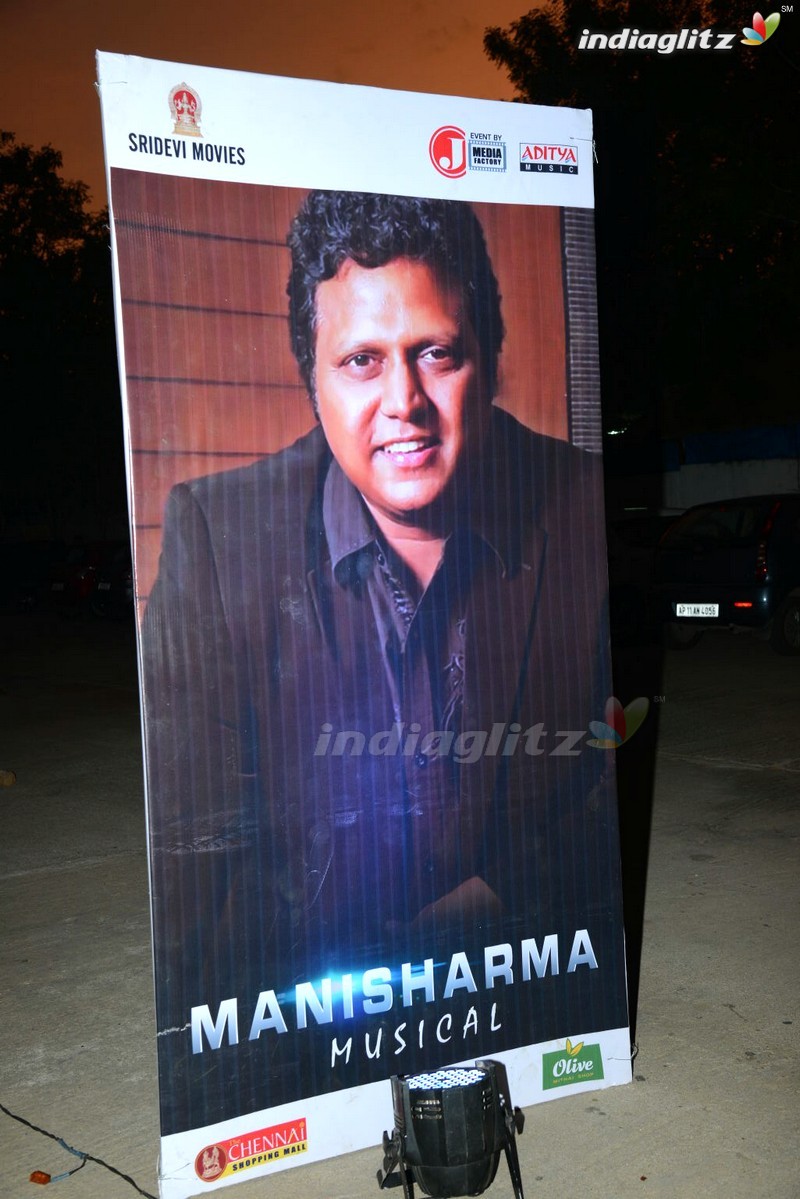 'Gentleman' Audio Launch