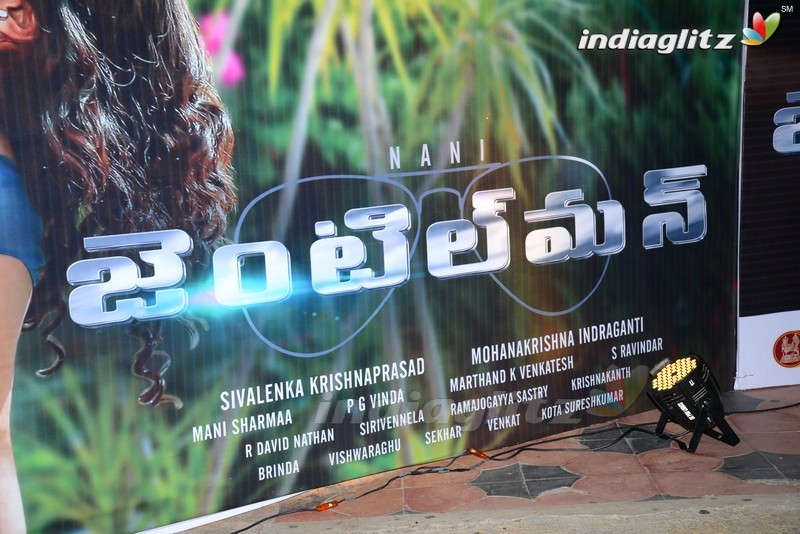 'Gentleman' Audio Launch