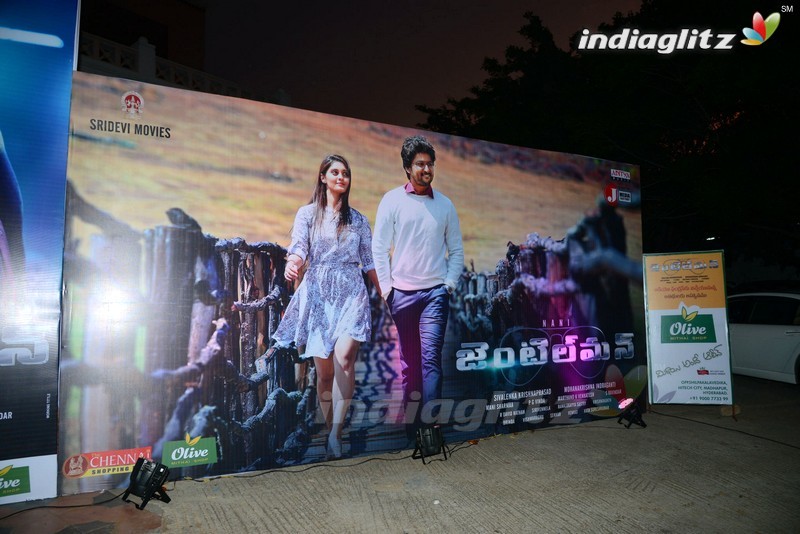 'Gentleman' Audio Launch