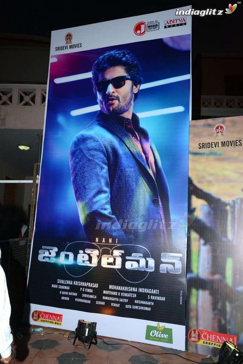 'Gentleman' Audio Launch