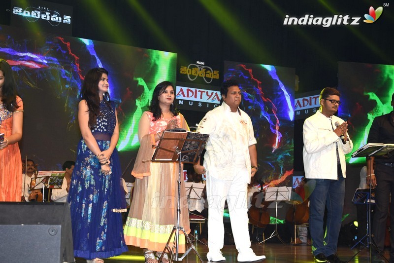 'Gentleman' Audio Launch