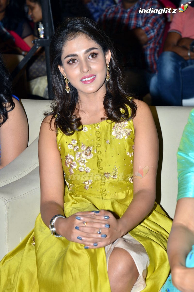 'Goodachari' Pre Release Function