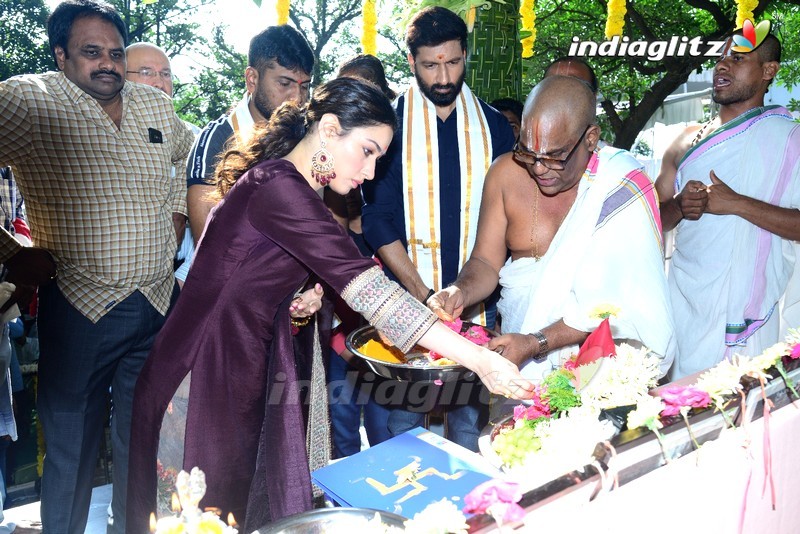 Gopichand, Tamannaah New Movie Launch