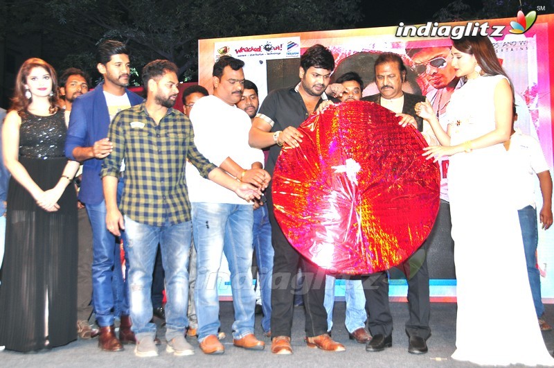 'Gunturodu' Audio Launch (Set-2)