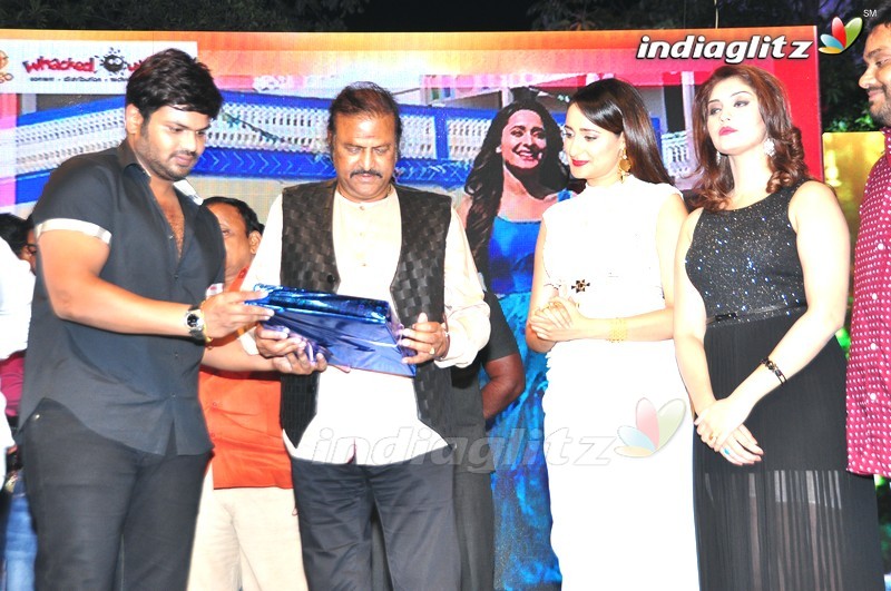 'Gunturodu' Audio Launch (Set-2)