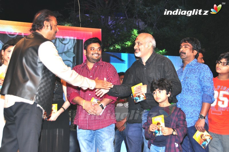 'Gunturodu' Audio Launch (Set-2)