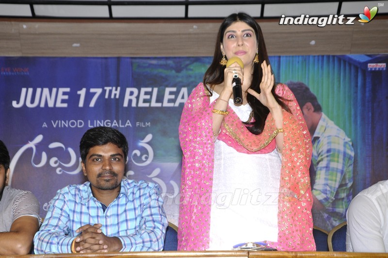 'Guppedantha Prema' Press Meet