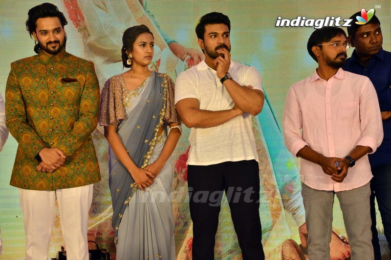 'Happy Wedding' Pre Release Function