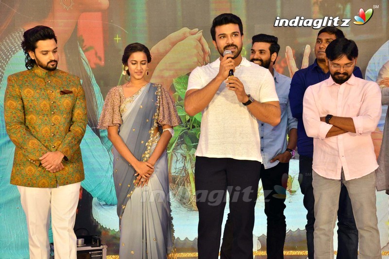 'Happy Wedding' Pre Release Function